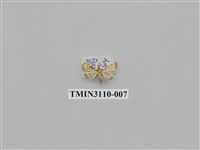 藏品(螟蛾197)的圖片